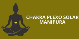 CHAKRA PLEXO SOLAR: MANIPURA